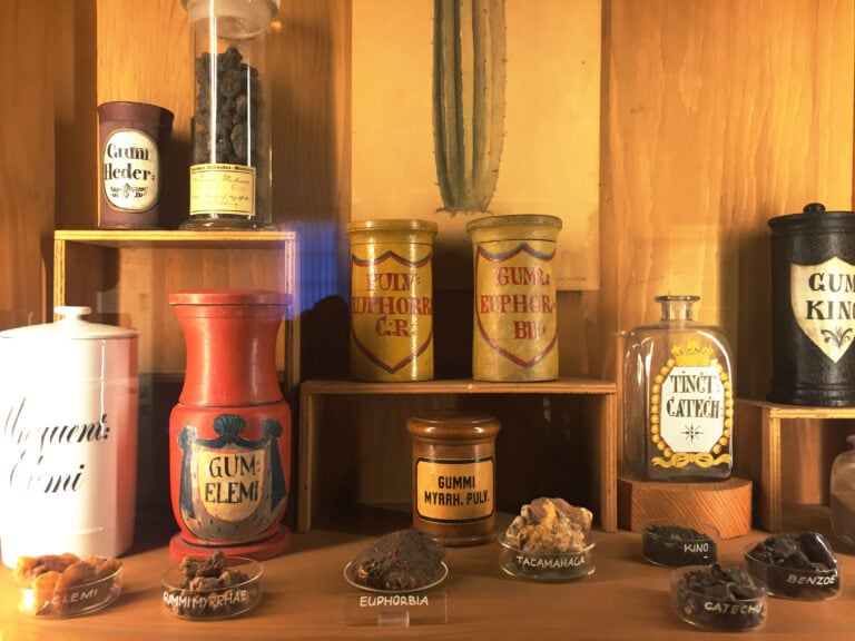 我们其实就生活在一座巨大的药房中