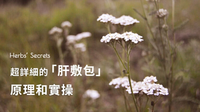 这是一个属于“小心肝儿”的时代，「肝敷包」实操指南