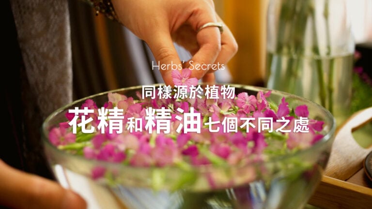 同样源于植物，花精和精油的7个不同之处