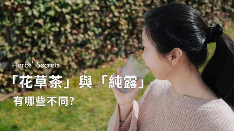 「花草茶」与「纯露」有哪些不同？